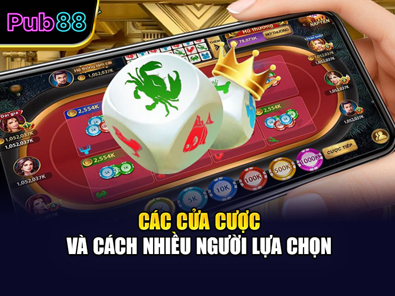 Các cửa cược và cách nhiều người lựa chọn