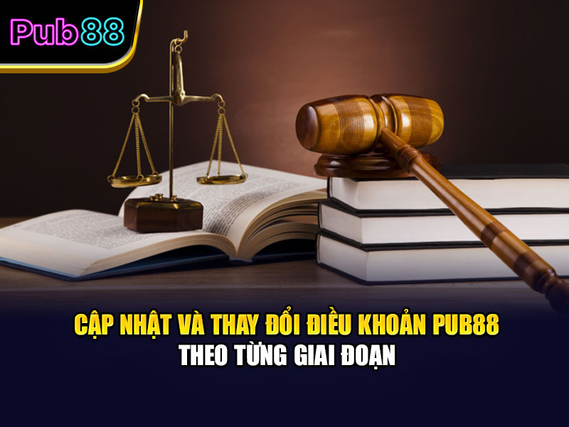 Cập nhật và thay đổi điều khoản Pub88 theo từng giai đoạn