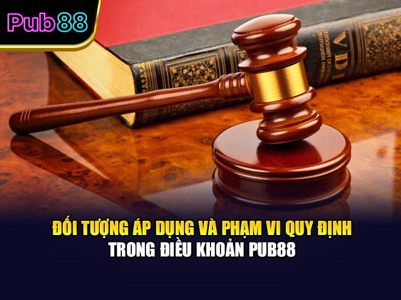 Đối tượng áp dụng và phạm vi quy định trong điều khoản Pub88