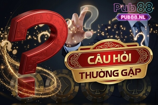 faq-pub88