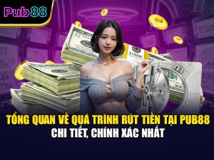 Tổng Quan Về Quá Trình Rút Tiền Tại Pub88 Chi Tiết, Chính Xác Nhất